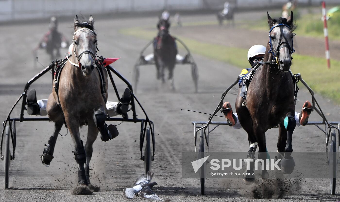 Russia Horse Show