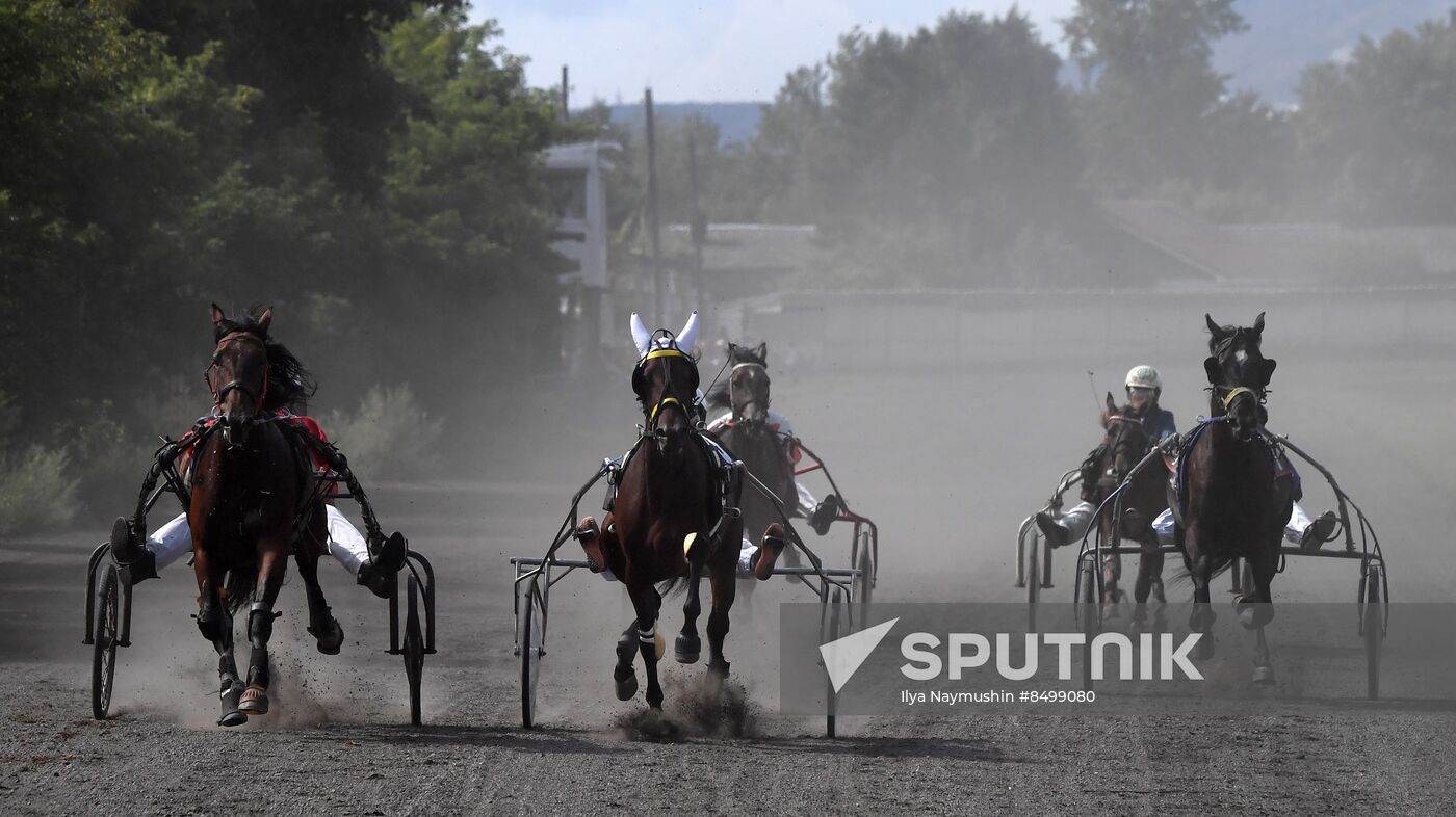 Russia Horse Show