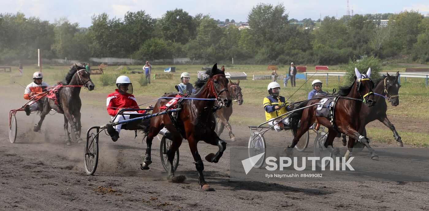 Russia Horse Show