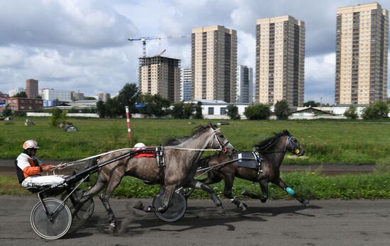 Russia Horse Show