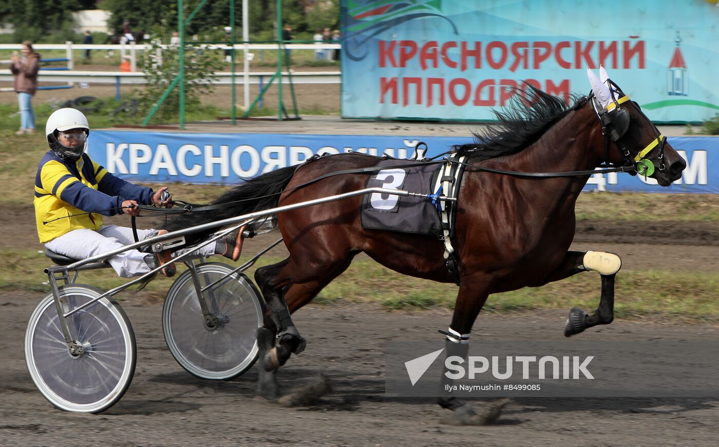 Russia Horse Show