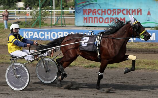 Russia Horse Show