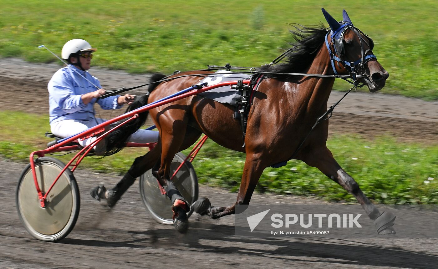 Russia Horse Show