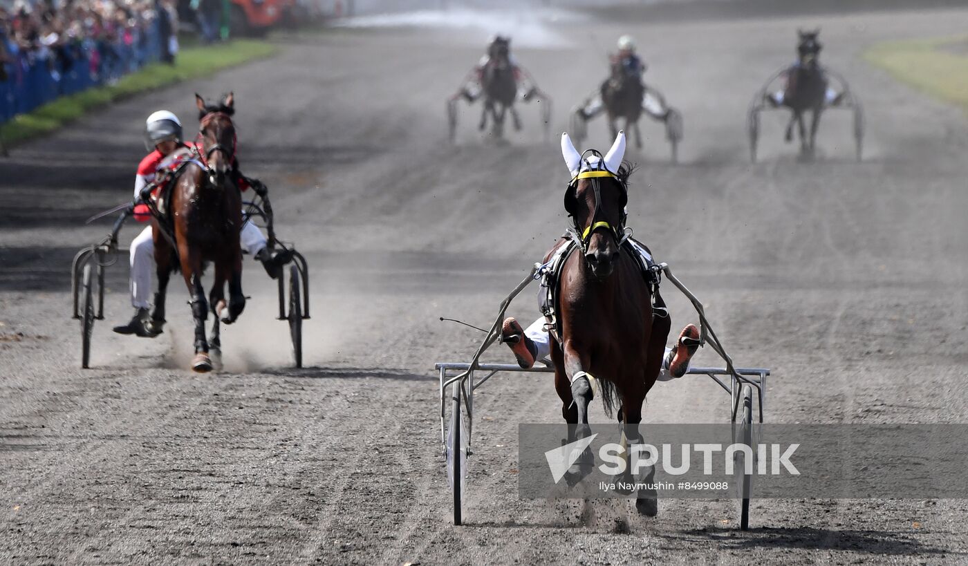 Russia Horse Show