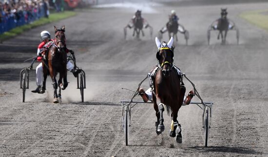 Russia Horse Show