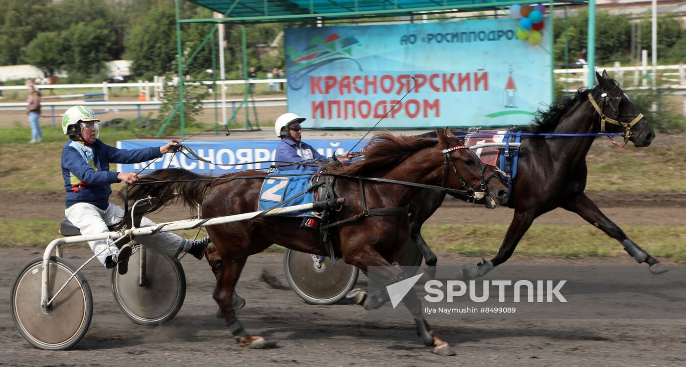 Russia Horse Show