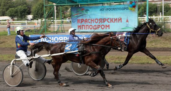 Russia Horse Show