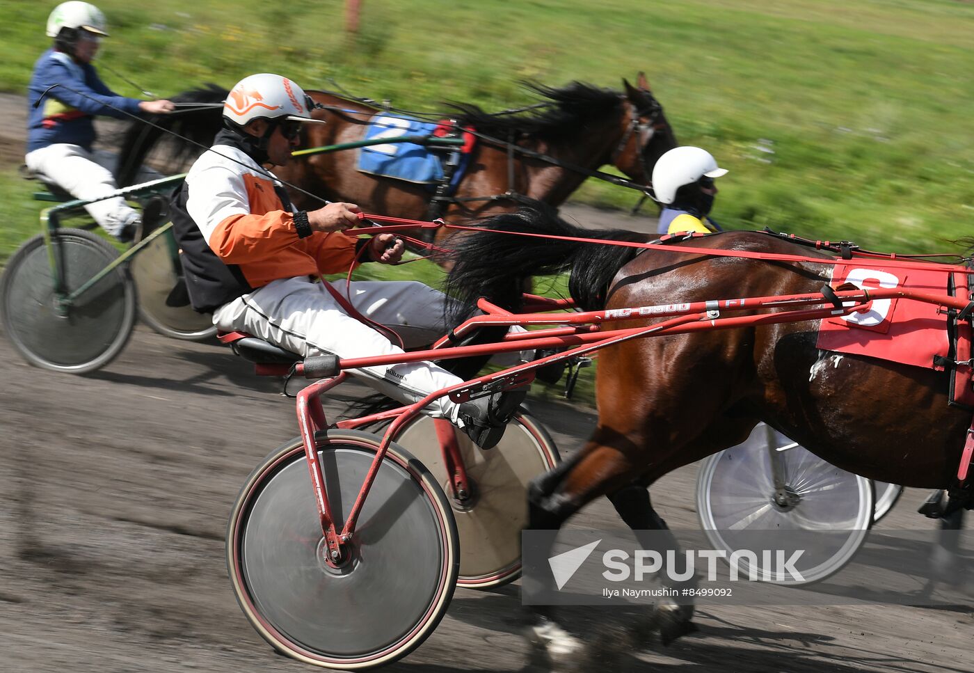 Russia Horse Show