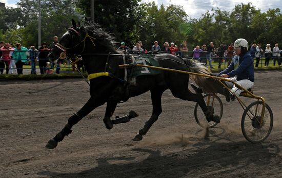 Russia Horse Show