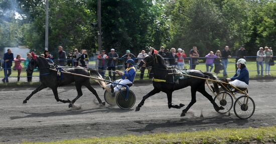 Russia Horse Show