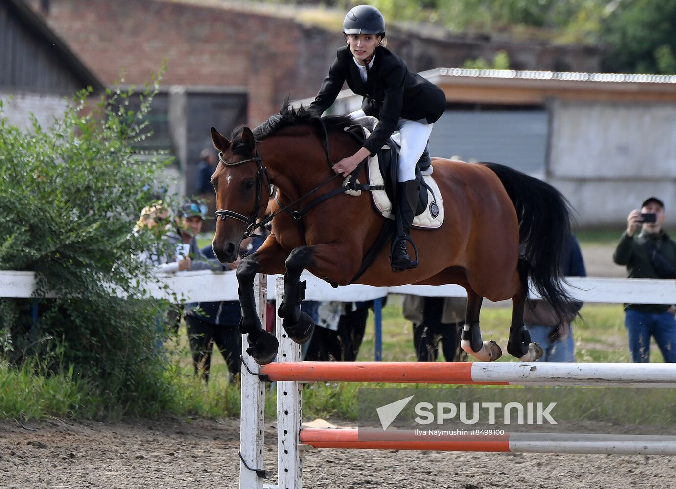 Russia Horse Show