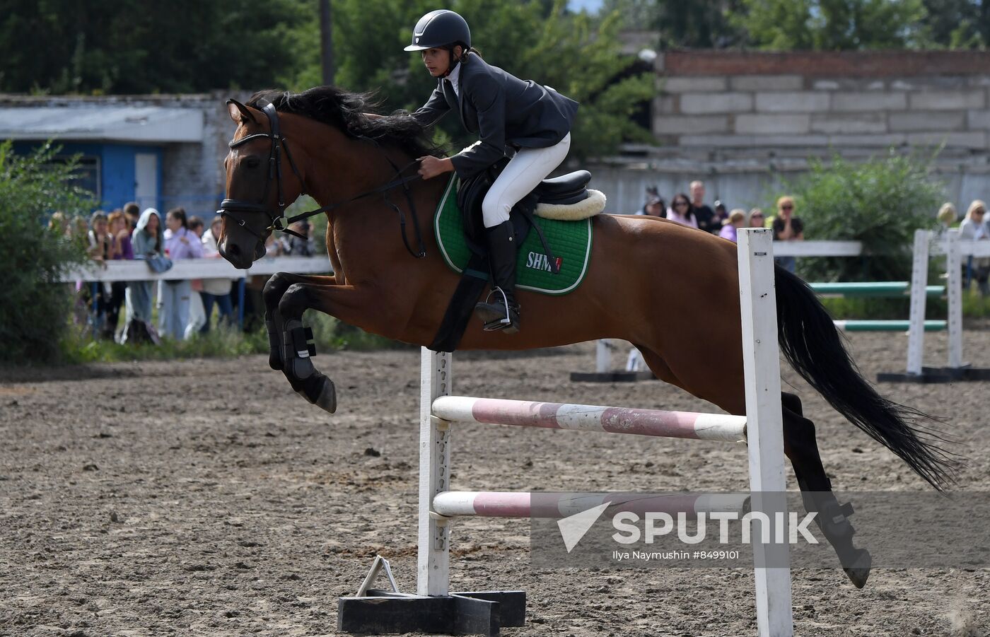 Russia Horse Show