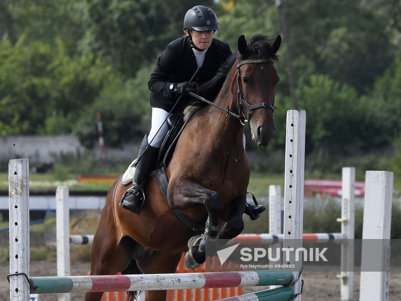 Russia Horse Show