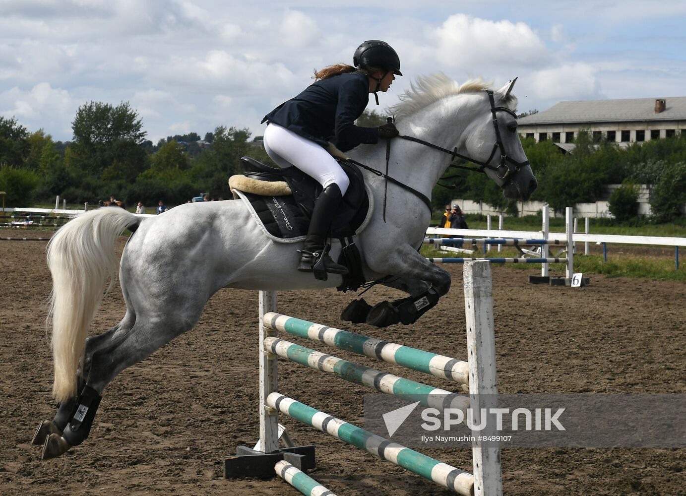 Russia Horse Show