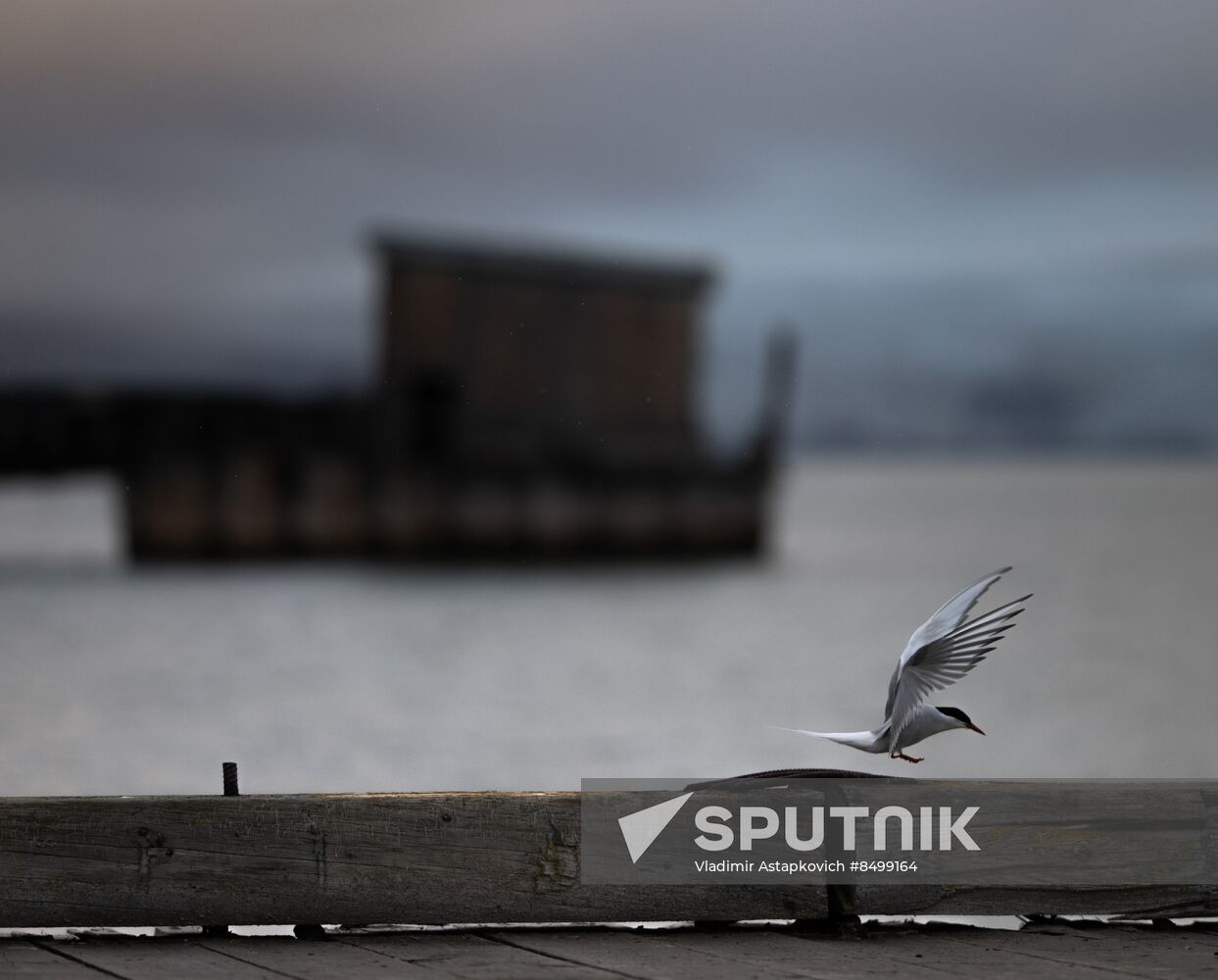 Norway Svalbard Archipelago Pyramiden Settlement