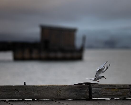 Norway Svalbard Archipelago Pyramiden Settlement