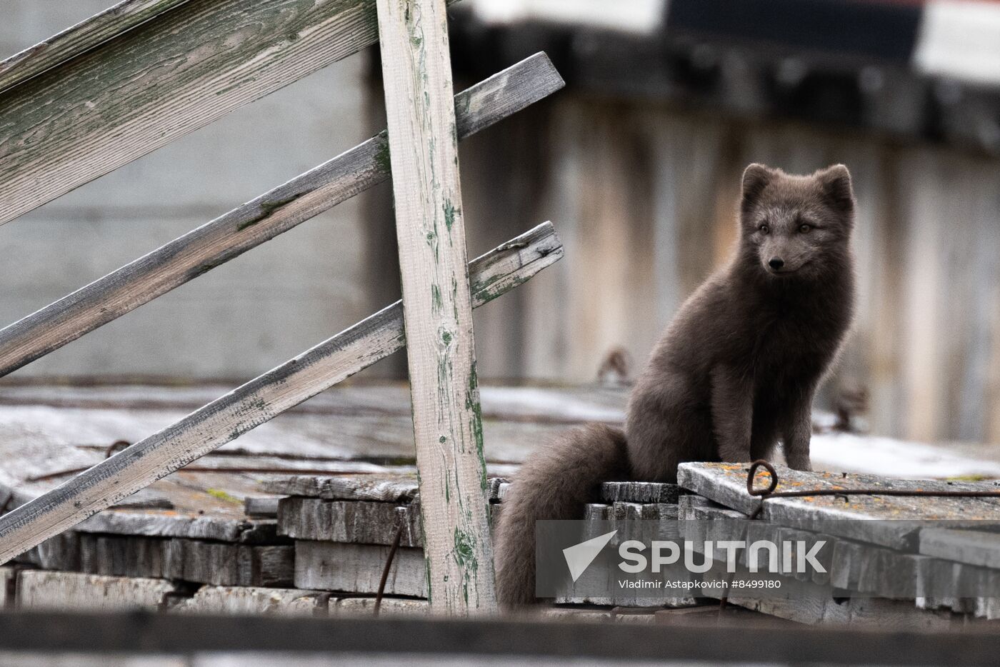 Norway Svalbard Archipelago Pyramiden Settlement