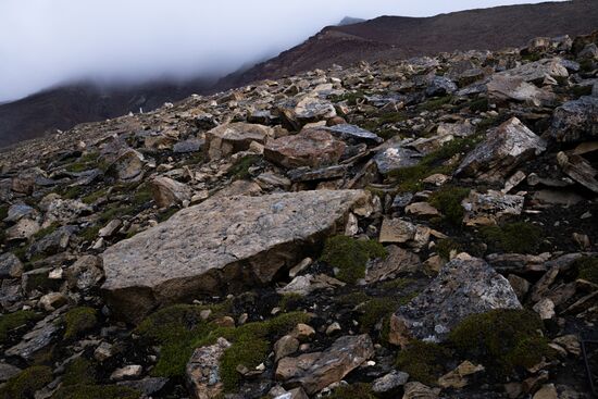 Norway Svalbard Archipelago