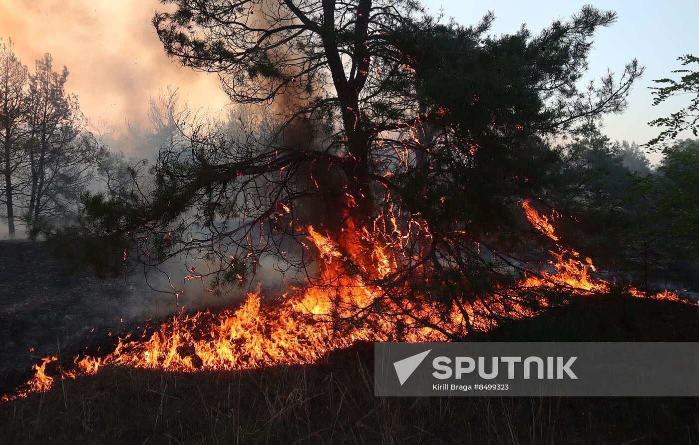 Russia Wildfires