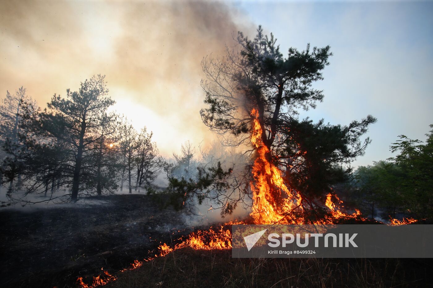 Russia Wildfires