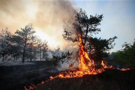 Russia Wildfires