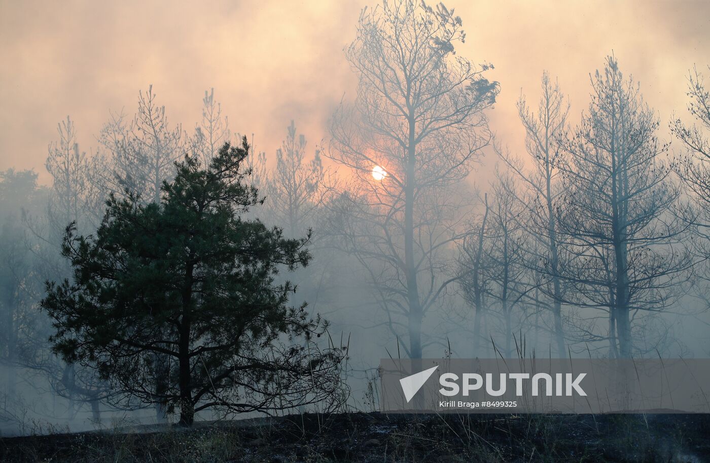 Russia Wildfires