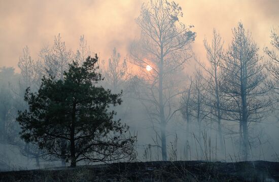 Russia Wildfires