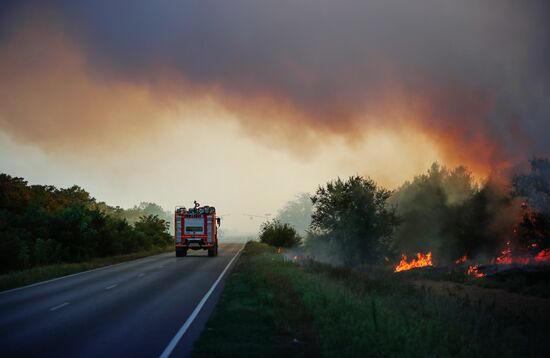 Russia Wildfires