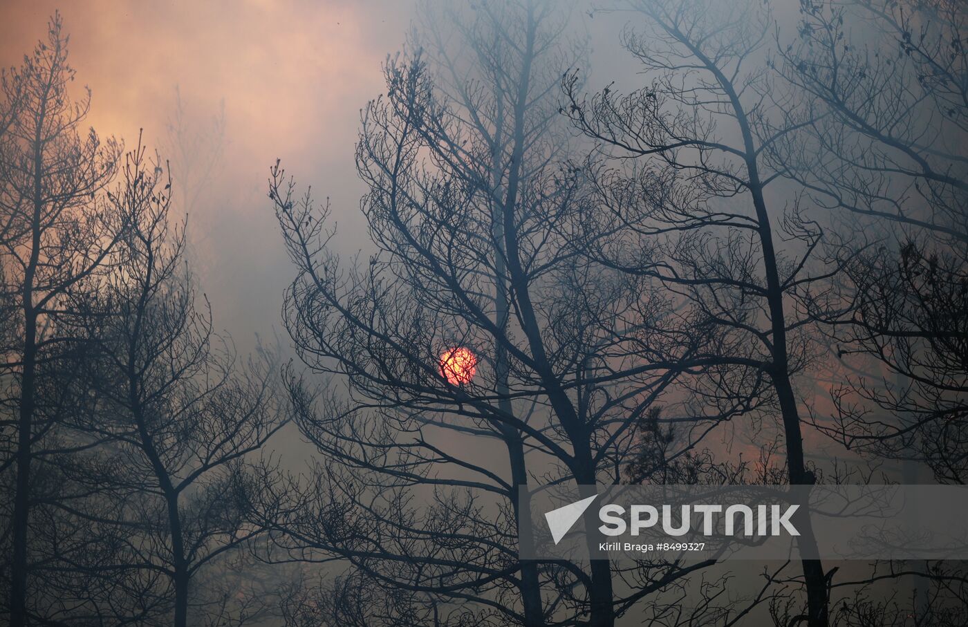 Russia Wildfires