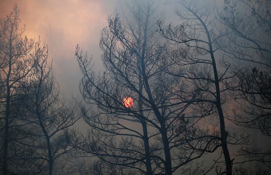 Russia Wildfires