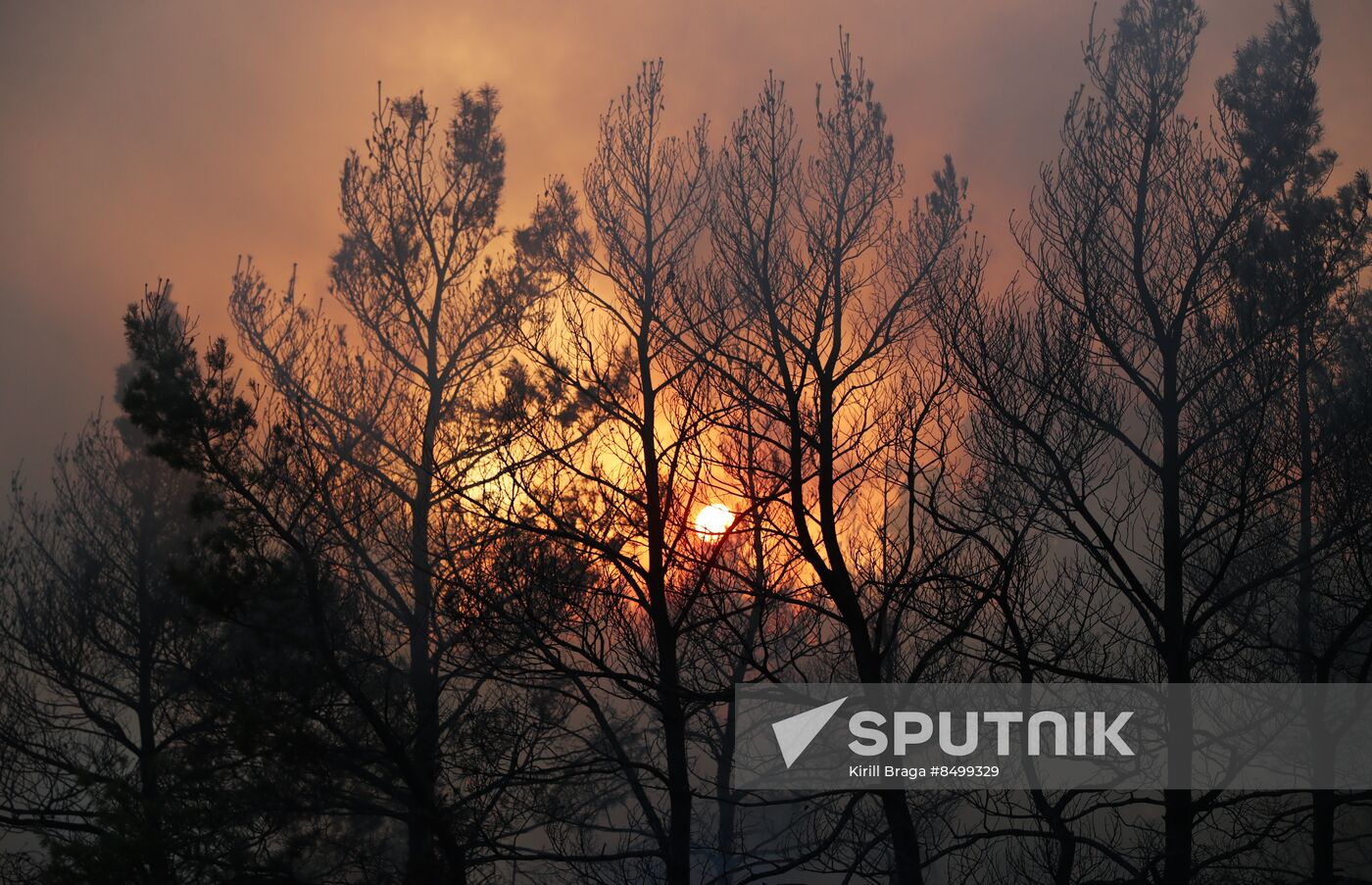 Russia Wildfires