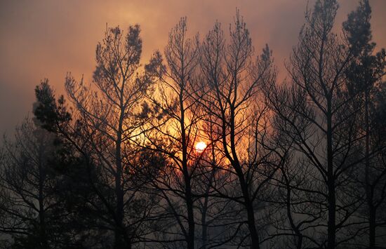 Russia Wildfires