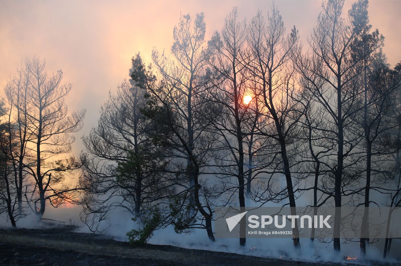 Russia Wildfires