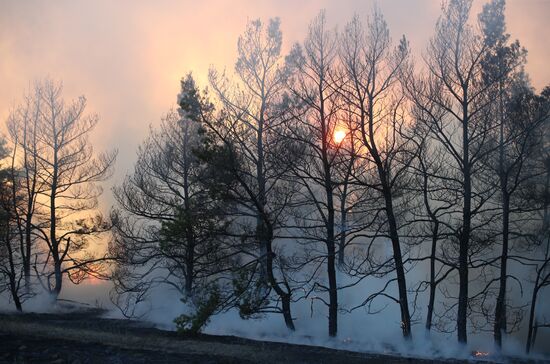 Russia Wildfires