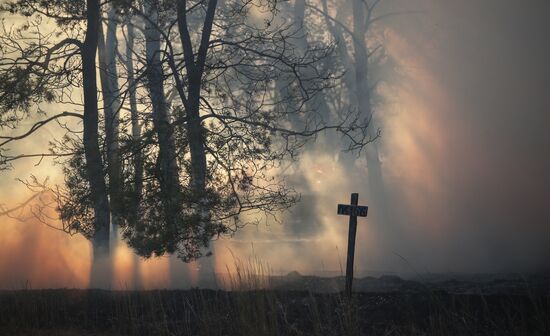 Russia Wildfires