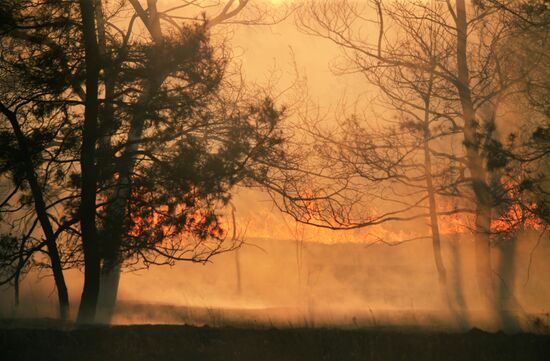 Russia Wildfires