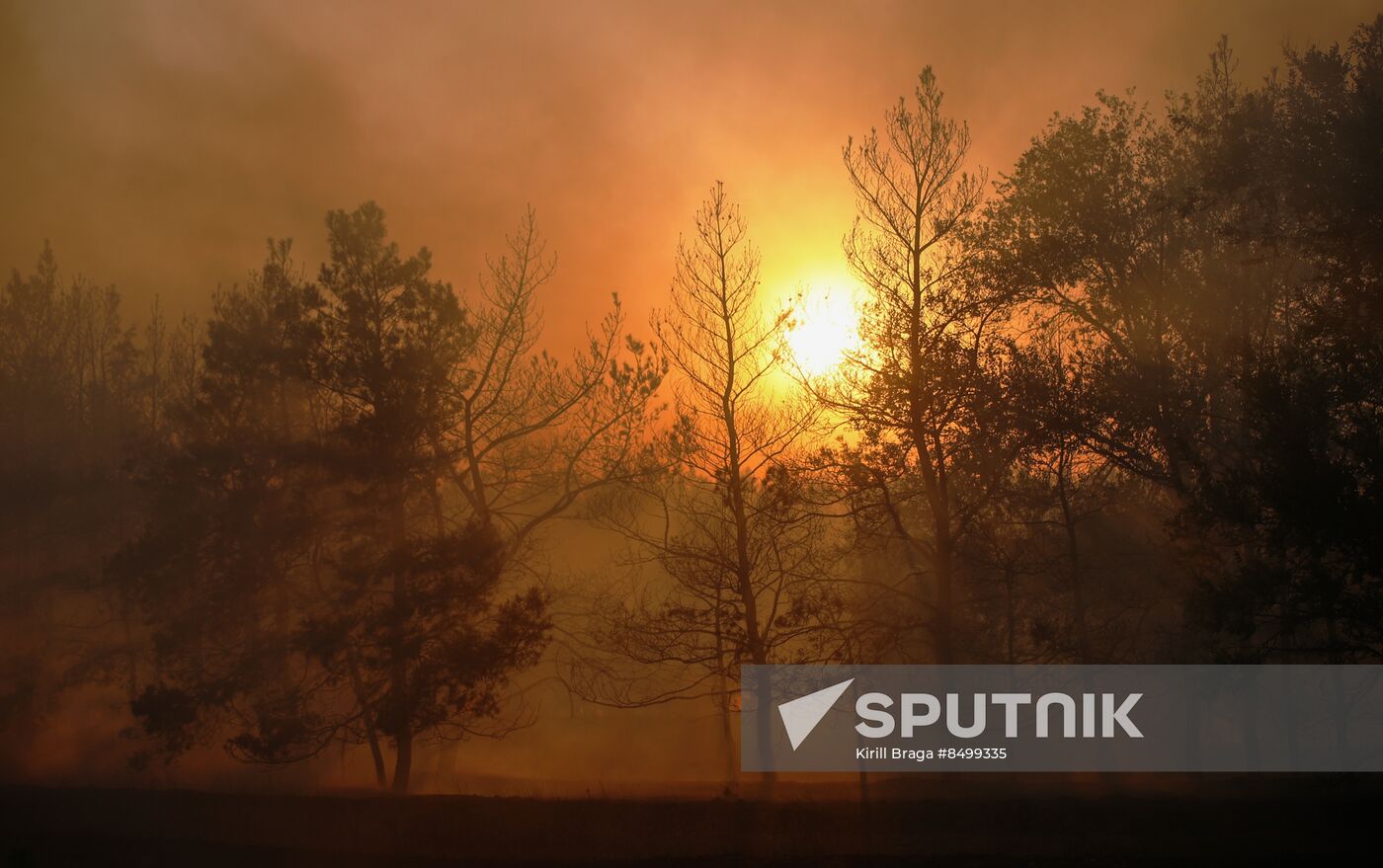 Russia Wildfires