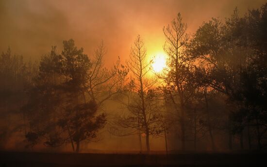 Russia Wildfires