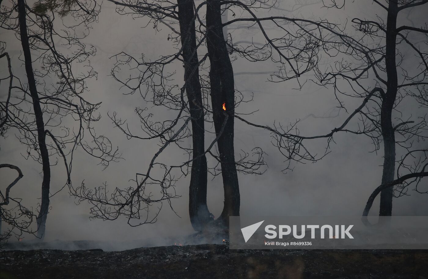 Russia Wildfires