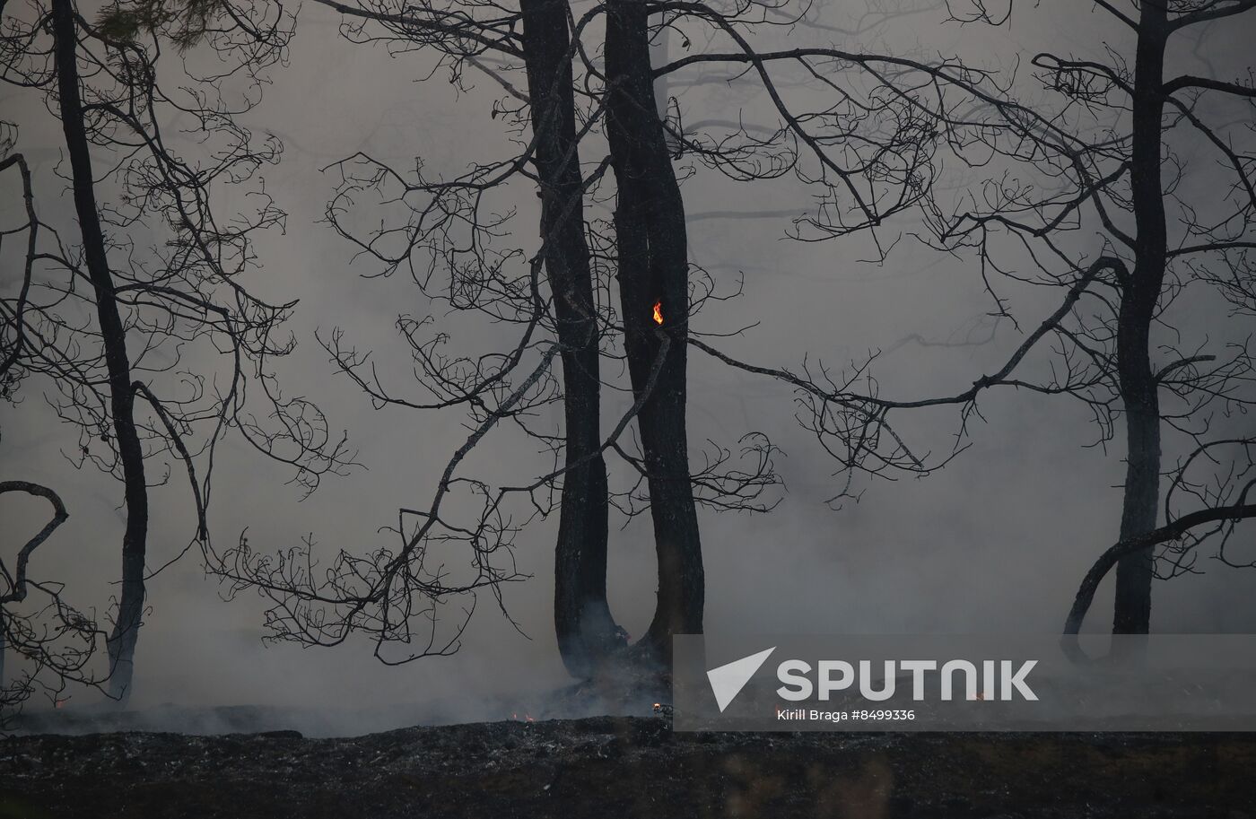 Russia Wildfires
