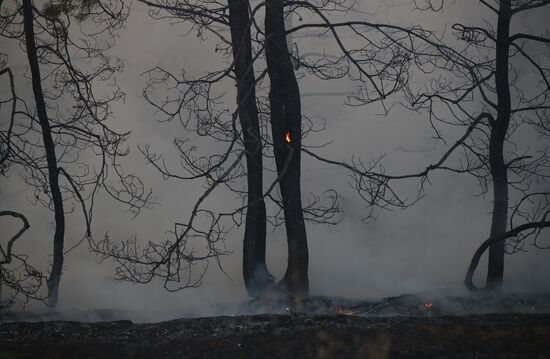 Russia Wildfires