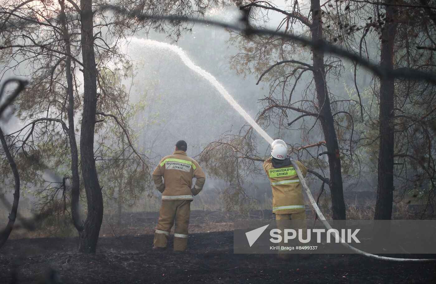 Russia Wildfires