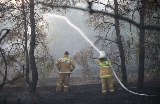 Russia Wildfires