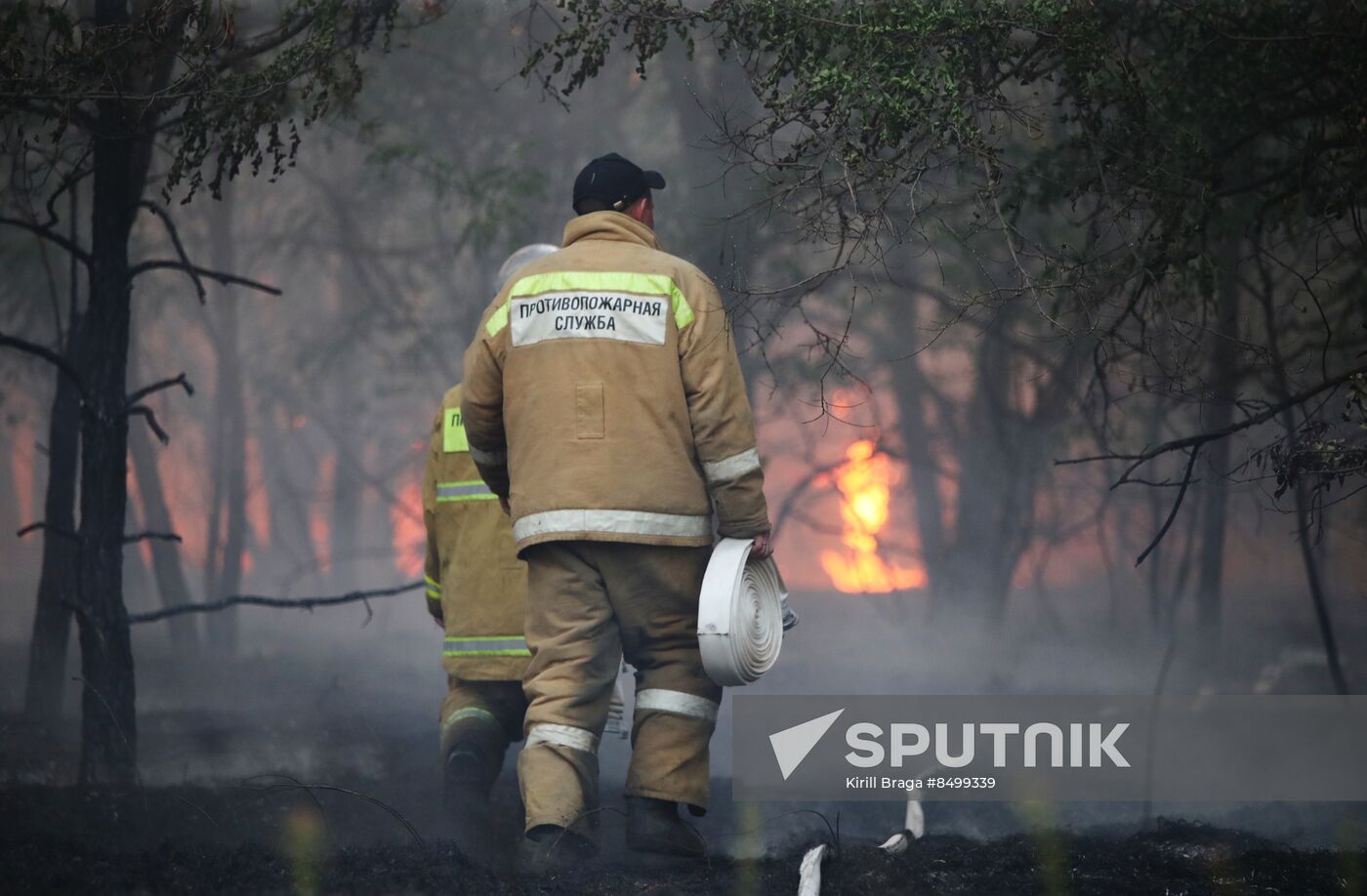 Russia Wildfires