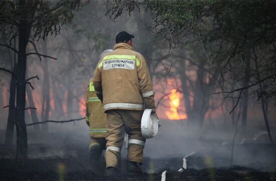 Russia Wildfires