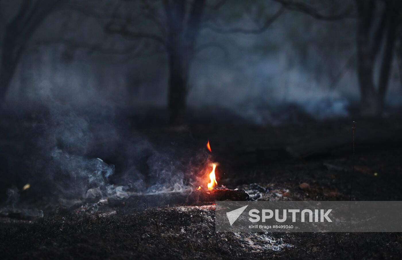 Russia Wildfires