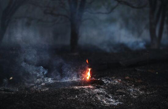 Russia Wildfires