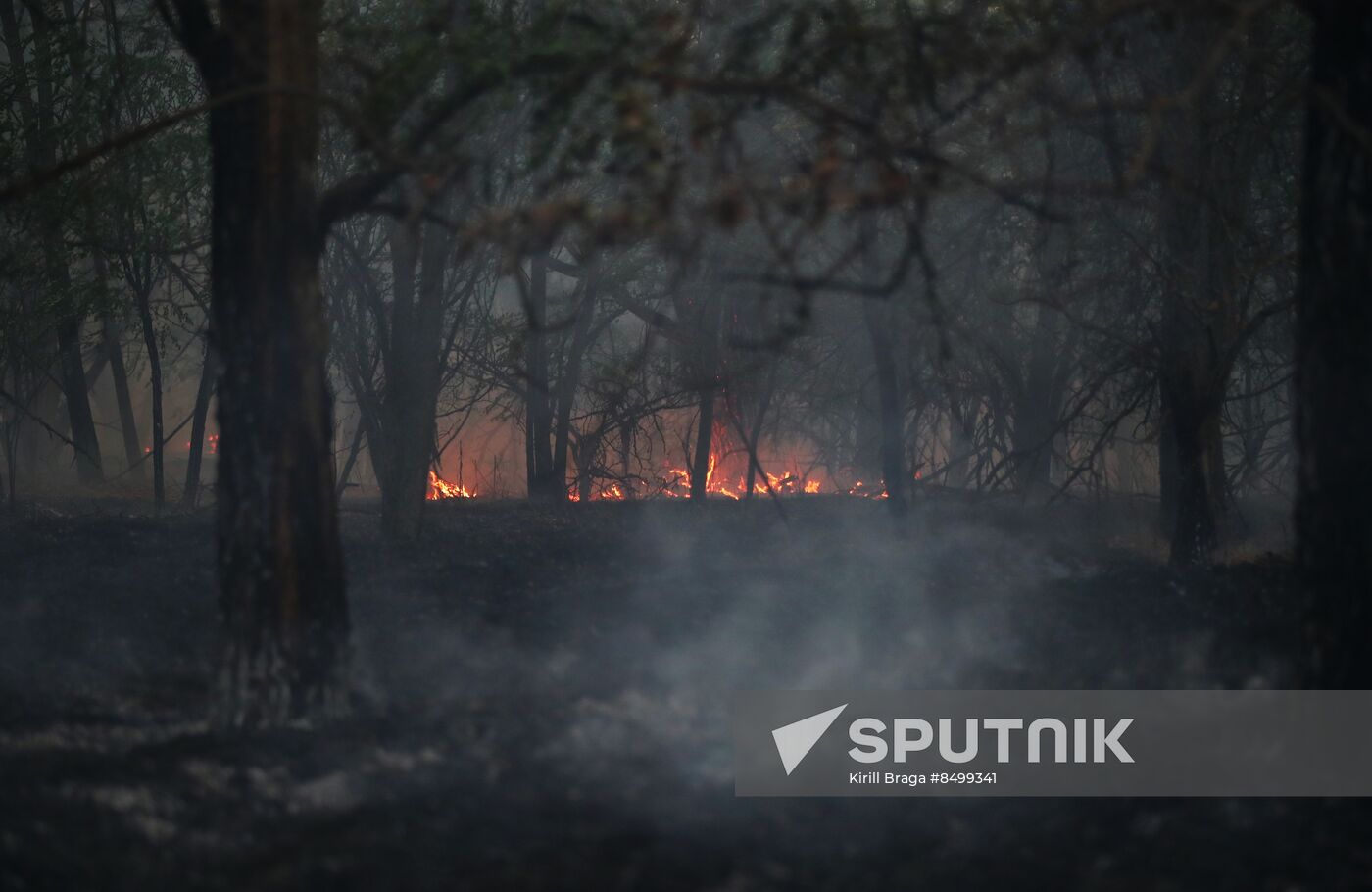 Russia Wildfires