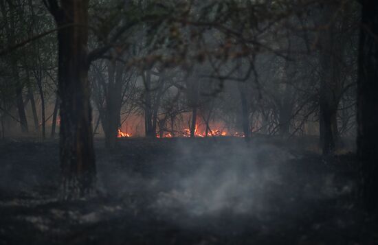 Russia Wildfires