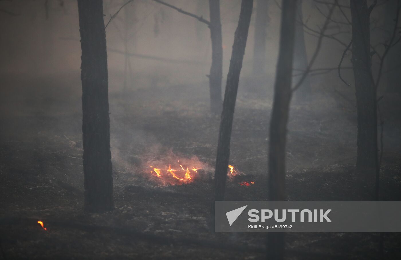 Russia Wildfires